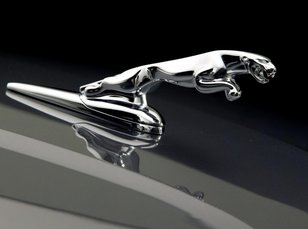 Jaguar cars